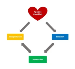 Diagrama con un corazón central etiquetado "Apego e Identidad" y flechas que apuntan a tres recuadros: Interpretación, Emoción e Interacción